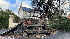 More than 240,000 without power in NI after Storm Éowyn batters region More than 240,000 without power in NI after Storm Éowyn batters region