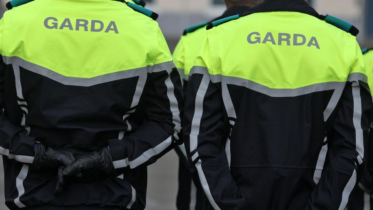 Image of suspected Athy rapist released