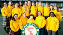Kildare calls for a global pause for peace on Brigid’s Day 2025