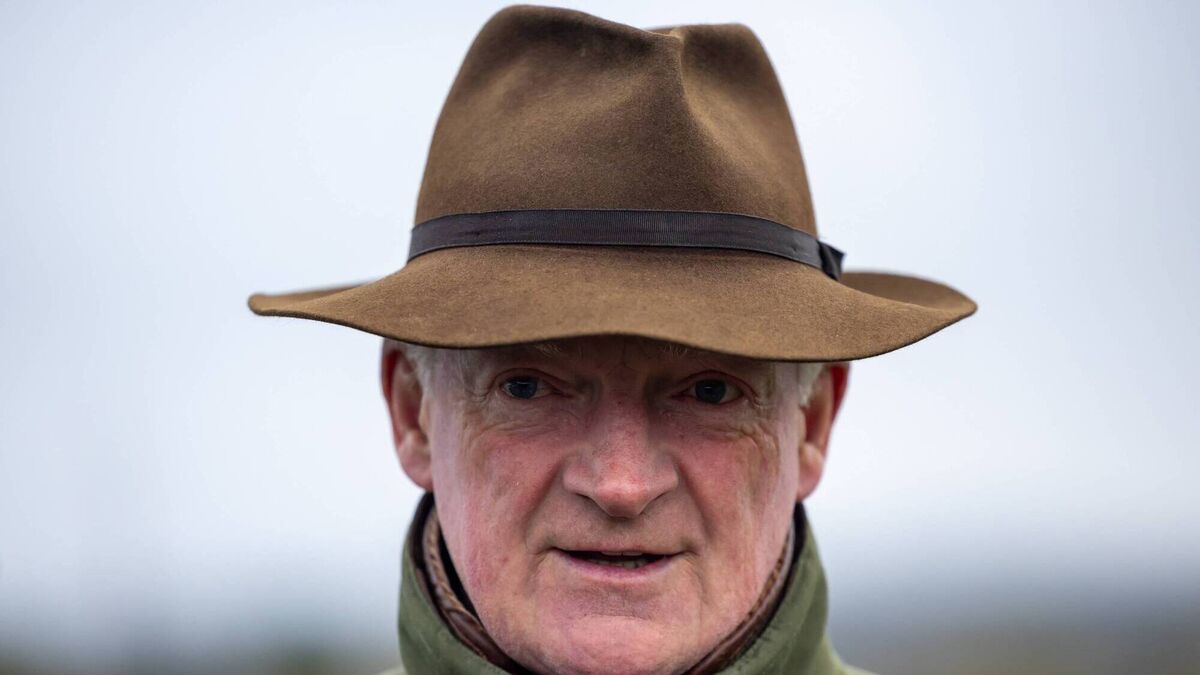 Maughreen will go straight to Cheltenham after dazzling at Punchestown
