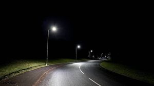Public lighting repairs in Newbridge take longer than average