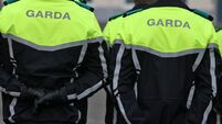 Gang chased male in Kildare estate and smashed car, court hears