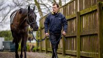 Preview of Dublin Racing Festival