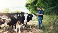 Living Greener: Be grateful to our farmers