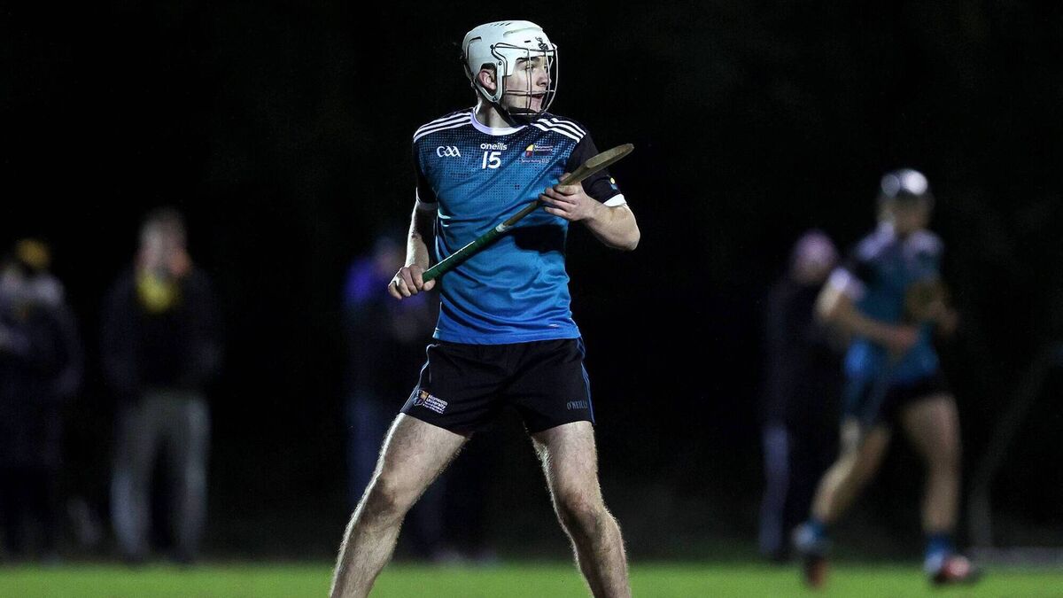 Maynooth University defeated in Fitzgibbon Cup