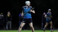 Maynooth University defeated in Fitzgibbon Cup