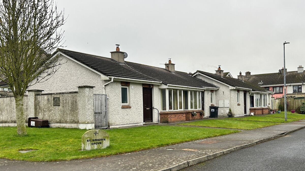Kildare Lions Club's housing project example to all