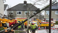 ‘Ireland needs to be more resilient to storms’ as 74,000 remain without power
