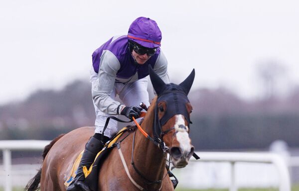  Sean O’Keefe onboard the Paul Nolan trained An Peann Dearg comes home to win the Ryanair Handicap Chase Photo: ©INPHO/Tom Maher