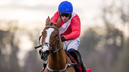 Preview of today's racing at Punchestown