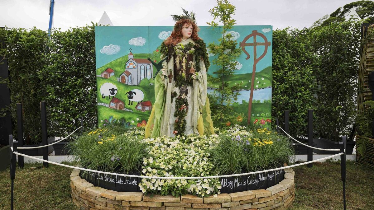 Kildare gardeners sought for Bloom 2025