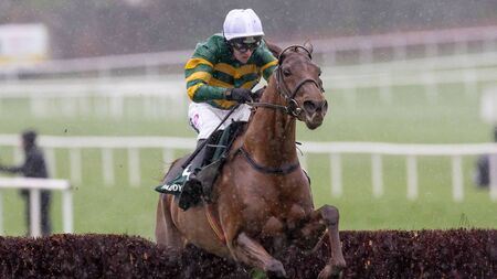 Festival pointers on offer at Naas this Saturday