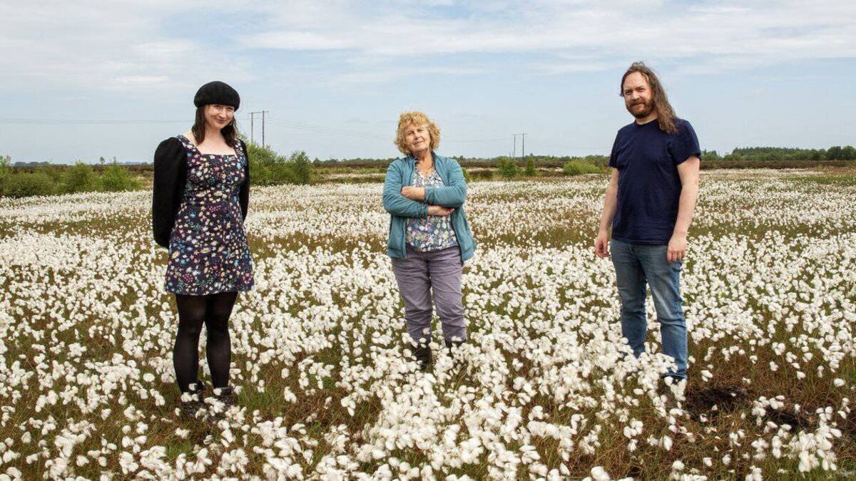 Folklore of Kildare peatlands to be celebrated at event
