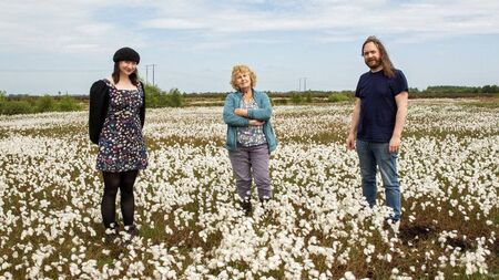 Folklore of Kildare peatlands to be celebrated at event