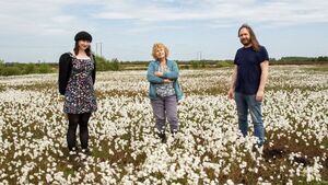 Folklore of Kildare peatlands to be celebrated at event