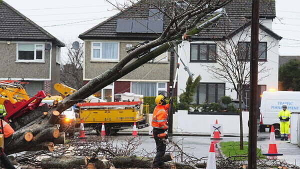 Wicklow man on trial for violent assault on neighbour in dispute over firewood cut by ESB