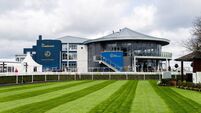 Elliott holds strong hand at Naas on Saturday
