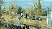 Army bomb squad called out near Athy