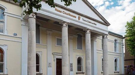 Details of alleged Newbridge assault which left woman in 'coma' given in court