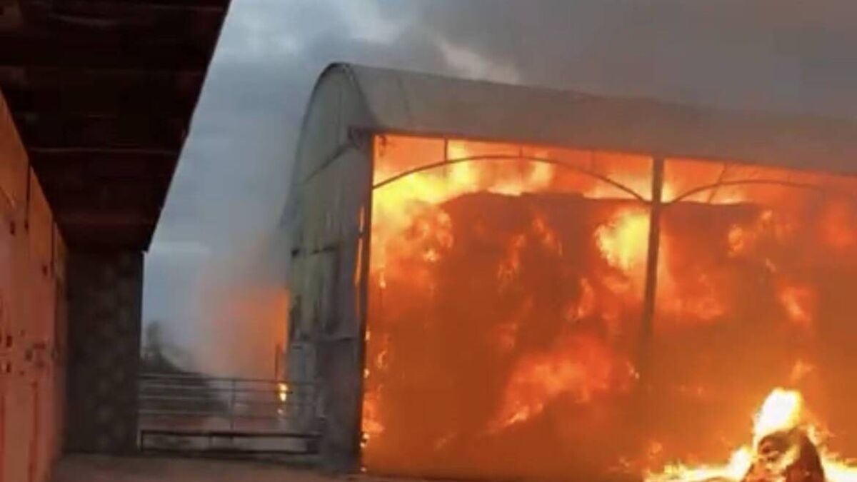 Arson suspected at Kildare stud