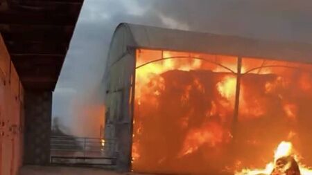 Arson suspected at Kildare stud