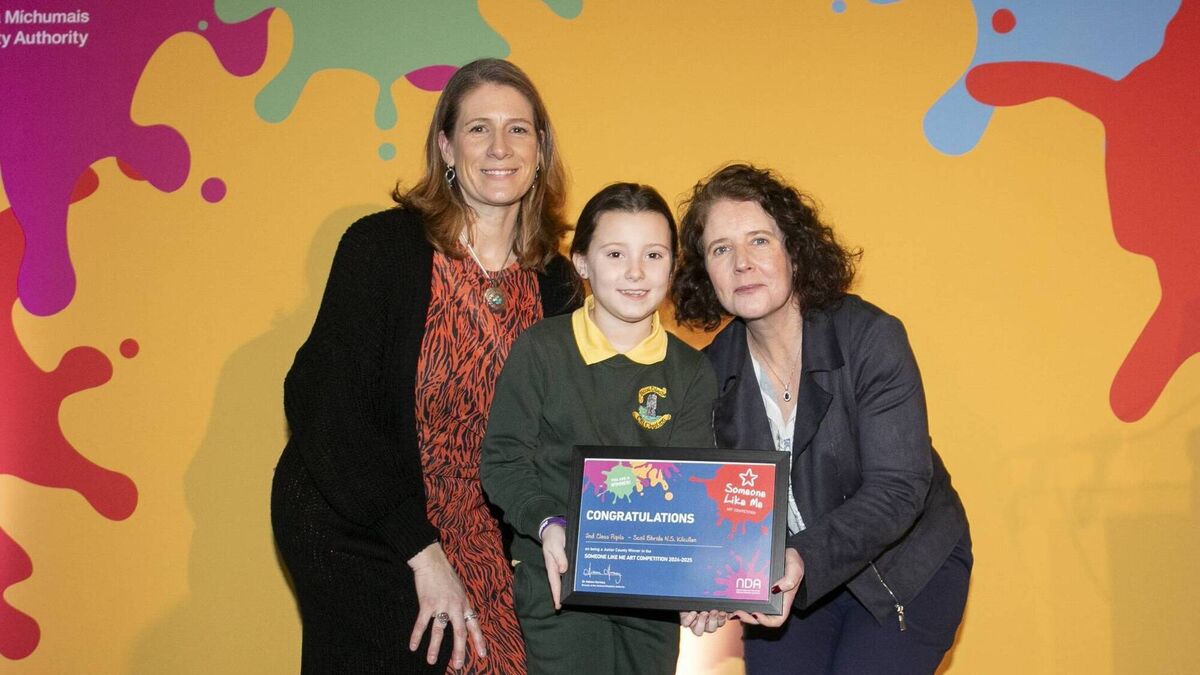 Kildare schools presented with art awards 