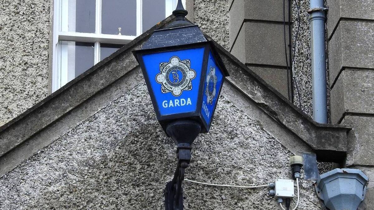Two men assaulted during the weekend in Athy