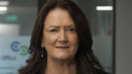 Kildare LEO supported companies create over 300 jobs in 2024