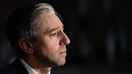 Millions spent on Arts Council failed IT scheme ‘absolutely alarming’ – Tánaiste