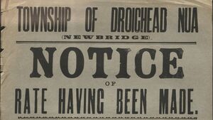 Kildare archive adds more important records