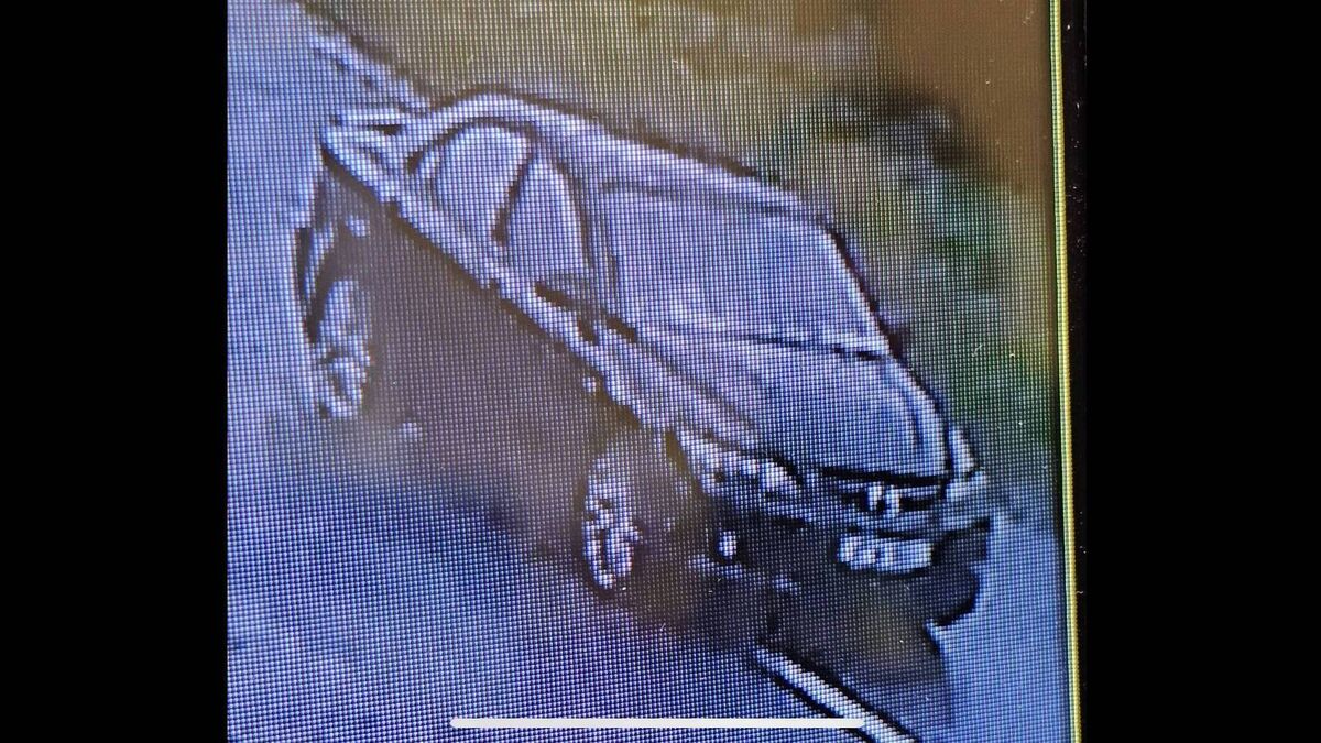 Appeal for witnesses after Kildare hit and run