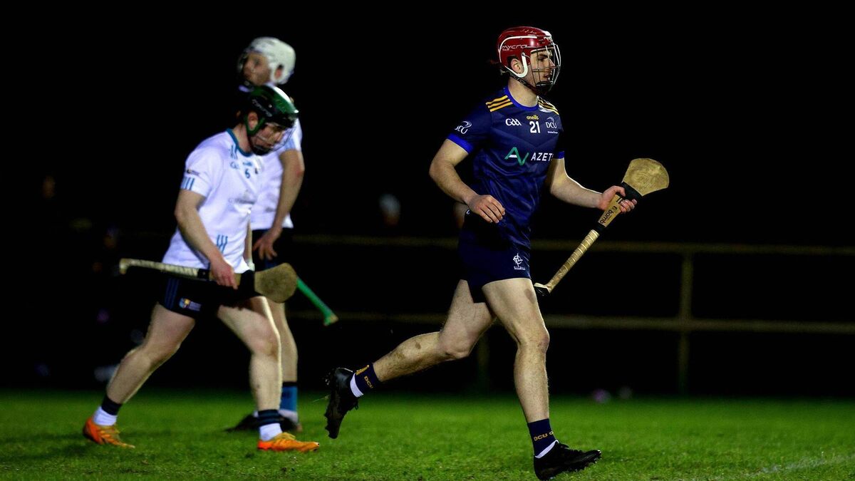 Kildare men defeated in Fitzgibbon Cup Final