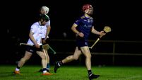 Kildare men defeated in Fitzgibbon Cup Final