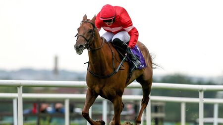 Punchestown Racecourse: preview and tips for Sunday’s seven-race jumps card