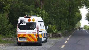Driver sprayed speed van with muck, Kildare court hears