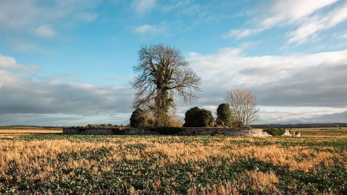 Adopt a Kildare monument under Heritage Council scheme