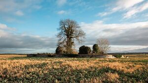 Adopt a Kildare monument under Heritage Council scheme
