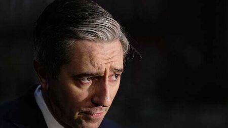 Blaming Ukraine for war is ‘revisionism on speed’, says Tánaiste