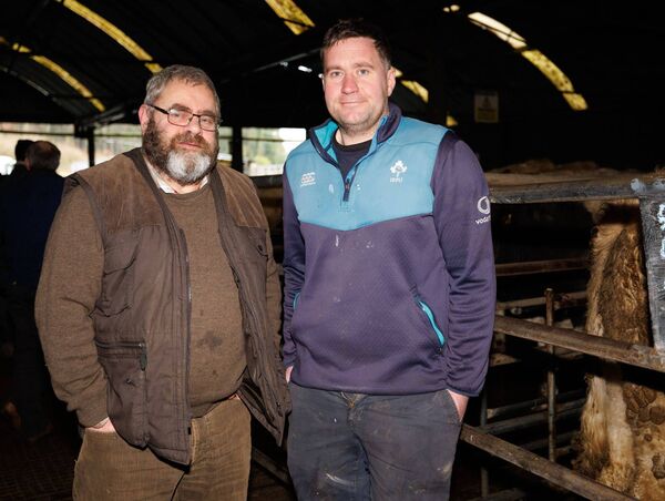 Alan Condell and Darren Hobson at Baltinglass Mart's Show and Sale Alan Condell and Darren Hobson at Baltinglass Mart's Show and Sale