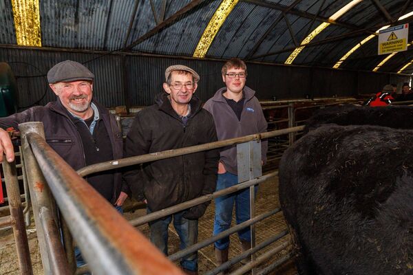 Robert, Mark and William Goodwin at Baltinglass Mart's Show and Sale Robert, Mark and William Goodwin at Baltinglass Mart's Show and Sale