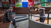 Baltinglass annual show marks 50 years 