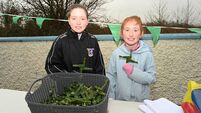 Monasterevin comes together for St Brigid’s Camino walk
