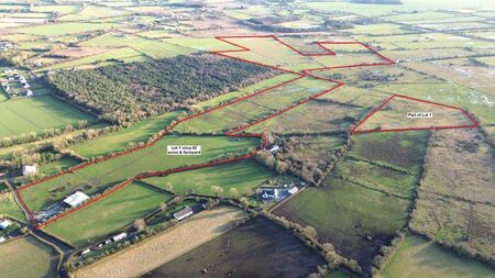 Over 65 acres of Kildare farmland to be sold next month