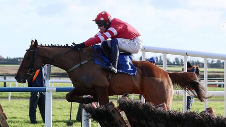 Naas Racecourse: preview and tips for Sunday’s Spring Festivals Trials Day