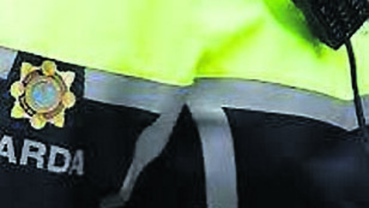 Kildare teen alleged to have assaulted two gardaí