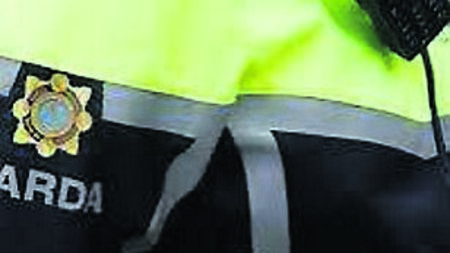 Kildare teen alleged to have assaulted two gardaí