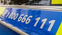 Pedestrian (70s) killed in Laois collision is named locally