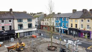Athy gets a Town Tree!