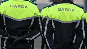 Gardaí investigate 'false imprisonment' of woman in Kildare Gardaí investigate 'false imprisonment' of woman in Kildare