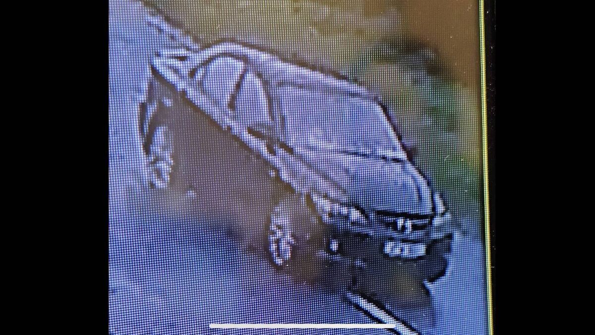 Man arrested in Kildare hit & run investigation
